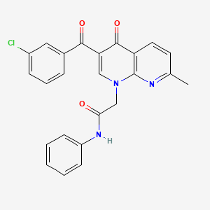 molecular formula C24H18ClN3O3 B2373879 2-(3-(3-氯苯甲酰)-7-甲基-4-氧代-1,8-萘啶-1(4H)-基)-N-苯基乙酰胺 CAS No. 894892-46-7