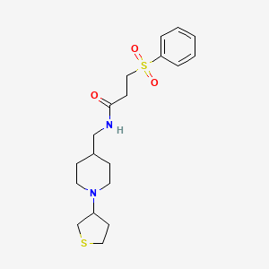 molecular formula C19H28N2O3S2 B2374911 3-(苯基磺酰基)-N-((1-(四氢噻吩-3-基)哌啶-4-基)甲基)丙酰胺 CAS No. 2034572-51-3
