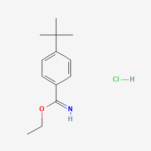 molecular formula C13H20ClNO B2376268 Ethyl 4-tert-butylbenzene-1-carboximidate hydrochloride CAS No. 61151-77-7