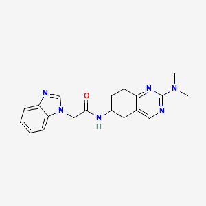 2-(1H-1,3-benzodiazol-1-yl)-N-[2-(dimethylamino)-5,6,7,8-tetrahydroquinazolin-6-yl]acetamide