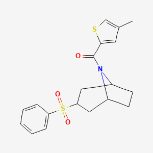 molecular formula C19H21NO3S2 B2378233 (4-methylthiophen-2-yl)((1R,5S)-3-(phenylsulfonyl)-8-azabicyclo[3.2.1]octan-8-yl)methanone CAS No. 1448124-55-7
