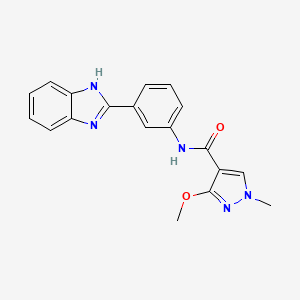 molecular formula C19H17N5O2 B2378586 N-(3-(1H-benzo[d]imidazol-2-yl)phenyl)-3-methoxy-1-methyl-1H-pyrazole-4-carboxamide CAS No. 1203230-02-7
