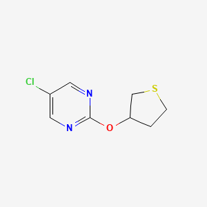 B2379971 5-Chloro-2-(thiolan-3-yloxy)pyrimidine CAS No. 2175978-40-0