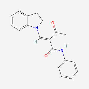 molecular formula C19H18N2O2 B2380122 2-乙酰-3-吲哚基-N-苯基丙-2-烯酰胺 CAS No. 1025209-24-8