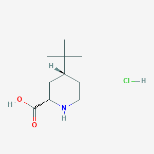 molecular formula C10H20ClNO2 B2380279 (2S,4R)-4-Tert-butylpiperidine-2-carboxylic acid;hydrochloride CAS No. 42205-81-2