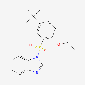 molecular formula C20H24N2O3S B2380371 1-[(5-tert-butyl-2-ethoxyphenyl)sulfonyl]-2-methyl-1H-benzimidazole CAS No. 881478-09-7