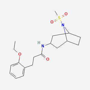 molecular formula C19H28N2O4S B2381159 3-(2-ethoxyphenyl)-N-(8-(methylsulfonyl)-8-azabicyclo[3.2.1]octan-3-yl)propanamide CAS No. 2034266-89-0