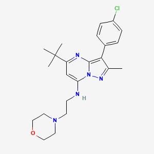 molecular formula C23H30ClN5O B2381254 5-叔丁基-3-(4-氯苯基)-2-甲基-N-(2-吗啉-4-基乙基)吡唑并[1,5-a]嘧啶-7-胺 CAS No. 877791-71-4