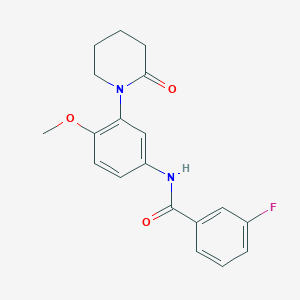 molecular formula C19H19FN2O3 B2381375 3-fluoro-N-[4-methoxy-3-(2-oxopiperidin-1-yl)phenyl]benzamide CAS No. 941979-67-5