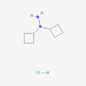 molecular formula C8H17ClN2 B2382437 1,1-Di(cyclobutyl)hydrazine;hydrochloride CAS No. 2503207-17-6
