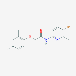 molecular formula C16H17BrN2O2 B238257 N-(5-bromo-6-methylpyridin-2-yl)-2-(2,4-dimethylphenoxy)acetamide 