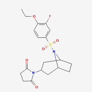 molecular formula C19H23FN2O5S B2382771 1-((1R,5S)-8-((4-ethoxy-3-fluorophenyl)sulfonyl)-8-azabicyclo[3.2.1]octan-3-yl)pyrrolidine-2,5-dione CAS No. 2058890-77-8