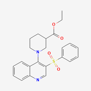 Ethyl 1-[3-(benzenesulfonyl)quinolin-4-yl]piperidine-3-carboxylate