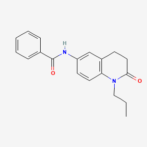 molecular formula C19H20N2O2 B2384691 N-(2-氧代-1-丙基-1,2,3,4-四氢喹啉-6-基)苯甲酰胺 CAS No. 954608-36-7