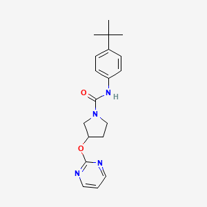 molecular formula C19H24N4O2 B2385195 N-(4-(tert-butyl)phenyl)-3-(pyrimidin-2-yloxy)pyrrolidine-1-carboxamide CAS No. 2034474-30-9