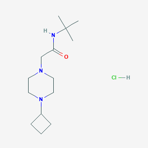 N-(tert-butyl)-2-(4-cyclobutylpiperazin-1-yl)acetamide hydrochloride