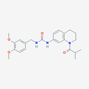 1-(3,4-Dimethoxybenzyl)-3-(1-isobutyryl-1,2,3,4-tetrahydroquinolin-7-yl)urea