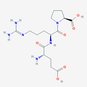 Glutamyl-arginyl-proline