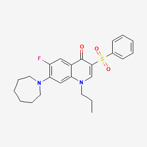 molecular formula C24H27FN2O3S B2386764 7-(氮杂环戊烷-1-基)-6-氟-3-(苯磺酰基)-1-丙基喹啉-4(1H)-酮 CAS No. 892759-21-6