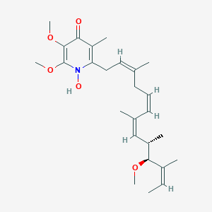 molecular formula C24H44N4O8 B238746 苦参素 B1 N-氧化物 CAS No. 139182-76-6