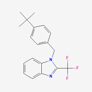 molecular formula C19H19F3N2 B2387530 1-[(4-Tert-butylphenyl)methyl]-2-(trifluoromethyl)benzimidazole CAS No. 478030-36-3