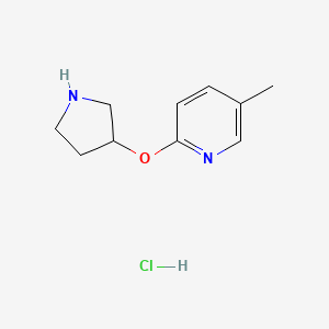 5-Methyl-2-(pyrrolidin-3-yloxy)pyridine hydrochloride