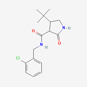 4-tert-butyl-N-[(2-chlorophenyl)methyl]-2-oxopyrrolidine-3-carboxamide