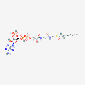 B238881 S-[2-[3-[[4-[[[(2R,3S,4R,5R)-5-(6-aminopurin-9-yl)-4-hydroxy-3-phosphonooxyoxolan-2-yl]methoxy-hydroxyphosphoryl]oxy-hydroxyphosphoryl]oxy-2-hydroxy-3,3-dimethylbutanoyl]amino]propanoylamino]ethyl] (E)-dec-2-enethioate CAS No. 10018-95-8
