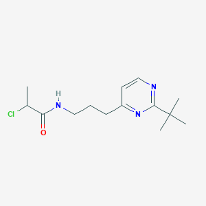 molecular formula C14H22ClN3O B2390642 N-[3-(2-叔丁基嘧啶-4-基)丙基]-2-氯丙酰胺 CAS No. 2411296-82-5