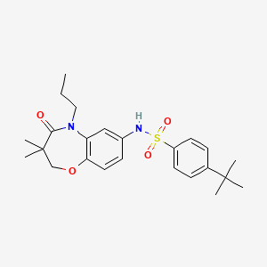 molecular formula C24H32N2O4S B2392688 4-(tert-butyl)-N-(3,3-dimethyl-4-oxo-5-propyl-2,3,4,5-tetrahydrobenzo[b][1,4]oxazepin-7-yl)benzenesulfonamide CAS No. 922078-59-9