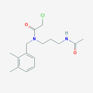 molecular formula C16H23ClN2O2 B2393643 N-(3-Acetamidopropyl)-2-chloro-N-[(2,3-dimethylphenyl)methyl]acetamide CAS No. 2411312-57-5
