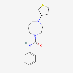 N-phenyl-4-(tetrahydrothiophen-3-yl)-1,4-diazepane-1-carboxamide