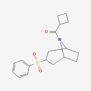 molecular formula C18H23NO3S B2395302 cyclobutyl((1R,5S)-3-(phenylsulfonyl)-8-azabicyclo[3.2.1]octan-8-yl)methanone CAS No. 1448053-89-1