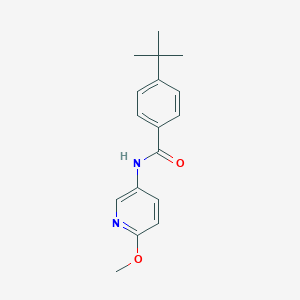 molecular formula C17H20N2O2 B239633 4-tert-butyl-N-(6-methoxy-3-pyridinyl)benzamide 