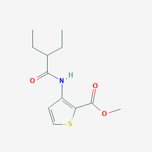 molecular formula C12H17NO3S B239644 Methyl 3-[(2-ethylbutanoyl)amino]-2-thiophenecarboxylate 