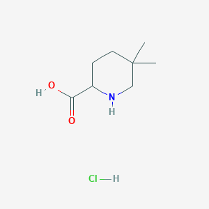 5,5-Dimethylpiperidine-2-carboxylic acid hydrochloride