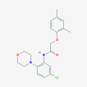 molecular formula C20H23ClN2O3 B239747 N-[5-chloro-2-(4-morpholinyl)phenyl]-2-(2,4-dimethylphenoxy)acetamide 