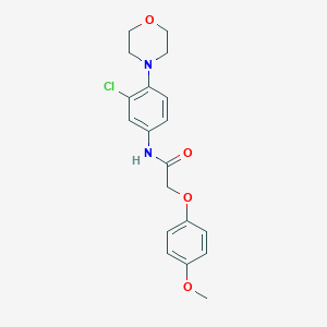 molecular formula C19H21ClN2O4 B239791 N-[3-chloro-4-(4-morpholinyl)phenyl]-2-(4-methoxyphenoxy)acetamide 