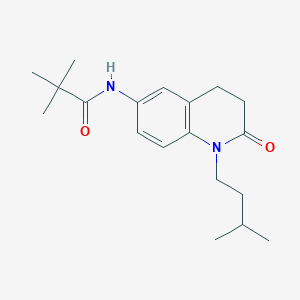 molecular formula C19H28N2O2 B2398206 N-(1-异戊基-2-氧代-1,2,3,4-四氢喹啉-6-基)叔丁酰胺 CAS No. 941991-77-1