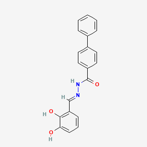 molecular formula C20H16N2O3 B2398764 N'-[(E)-(2,3-dihydroxyphenyl)methylidene]biphenyl-4-carbohydrazide CAS No. 303216-32-2