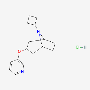 molecular formula C16H23ClN2O B2398771 (1R,5S)-8-cyclobutyl-3-(pyridin-3-yloxy)-8-azabicyclo[3.2.1]octane hydrochloride CAS No. 2109277-90-7