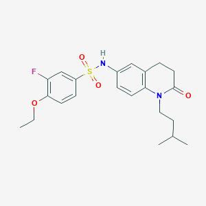 4-ethoxy-3-fluoro-N-(1-isopentyl-2-oxo-1,2,3,4-tetrahydroquinolin-6-yl)benzenesulfonamide