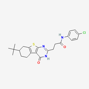 molecular formula C23H26ClN3O2S B2399133 3-(7-tert-butyl-4-oxo-3,4,5,6,7,8-hexahydro[1]benzothieno[2,3-d]pyrimidin-2-yl)-N-(4-chlorophenyl)propanamide CAS No. 950414-81-0