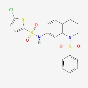 molecular formula C19H17ClN2O4S3 B2399424 5-chloro-N-(1-(phenylsulfonyl)-1,2,3,4-tetrahydroquinolin-7-yl)thiophene-2-sulfonamide CAS No. 1171848-91-1