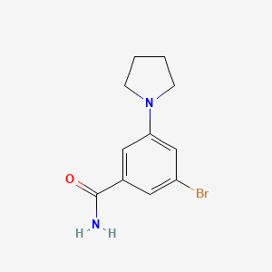 molecular formula C11H13BrN2O B2400723 3-溴-5-(吡咯烷-1-基)苯甲酰胺 CAS No. 2091999-63-0