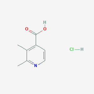 molecular formula C8H10ClNO2 B2403280 2,3-二甲基异烟酸盐酸盐 CAS No. 2442597-63-7