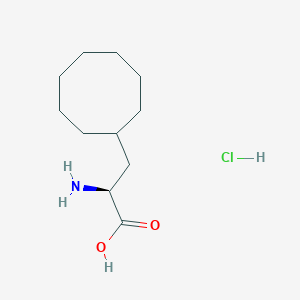molecular formula C11H22ClNO2 B2403686 (2S)-2-氨基-3-环辛基丙酸;盐酸盐 CAS No. 2387568-79-6