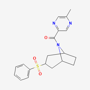 molecular formula C19H21N3O3S B2405725 (5-methylpyrazin-2-yl)((1R,5S)-3-(phenylsulfonyl)-8-azabicyclo[3.2.1]octan-8-yl)methanone CAS No. 1448065-13-1