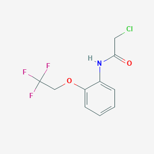 molecular formula C10H9ClF3NO2 B2405818 2-氯-N-[2-(2,2,2-三氟乙氧基)苯基]乙酰胺 CAS No. 929973-54-6