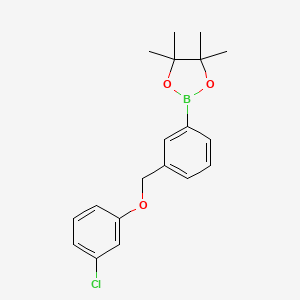 3-(3-Chlorophenoxymethyl)phenylboronic acid pinacol ester